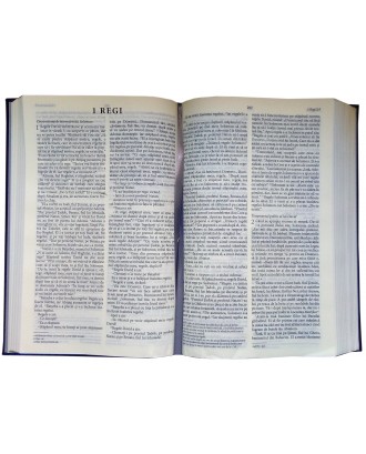 Biblia NTR, 2017 coperta cartonată,albastru sidefat,argintie pe margini si scris pe coperta.