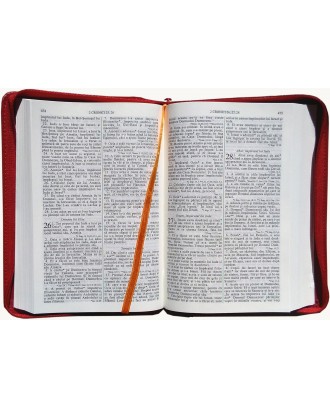 Biblie - mijlocie in piele de culoare rosie, cuvintele Domnului Isus scrise cu roşu,ştanţat BIBLIA şi mâini.