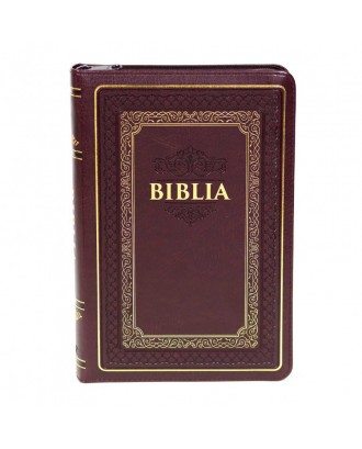 Biblia 056 ZTI – Visiniu