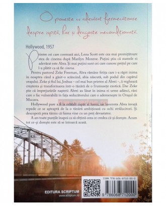 Podul spre casă - roman, autor Francine Rivers
