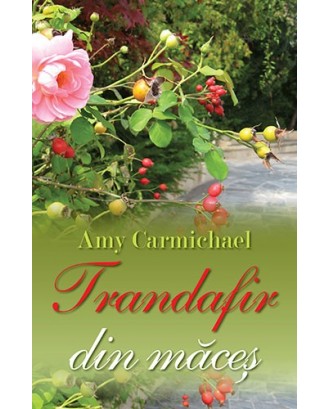 Trandafir din maces - Amy Carmichael